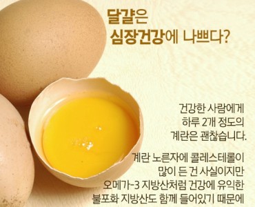 달걀은 심장건강에 나쁘다? 이미지