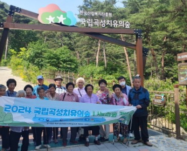 국립곡성치유의 숲과 함께하는 나들이 진행 이미지