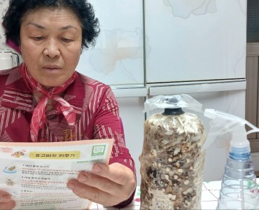 2025년 노인맞춤돌봄서비스 힐링문화체험 활동 이미지