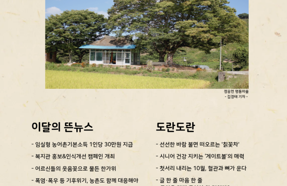 제 13호 The 뜬소식 게시물 첨부 이미지