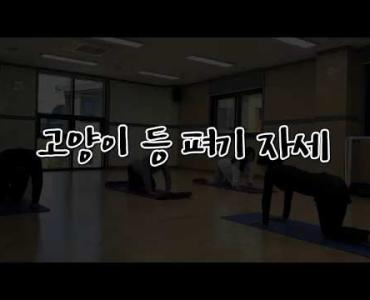 마음방역 캠페인 - 집에서 따라 해보는 요가 동작 이미지